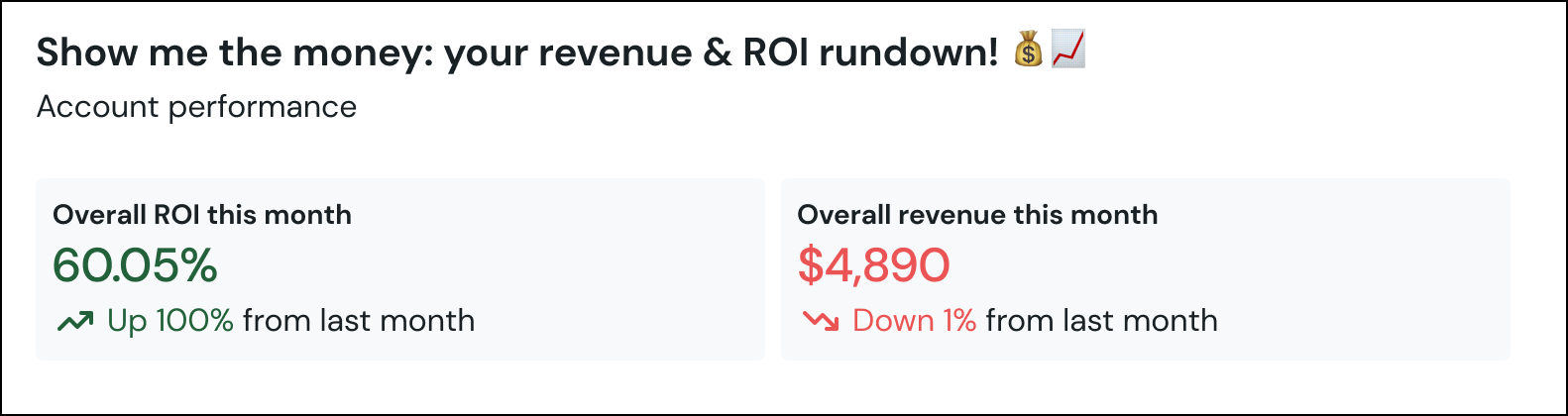 Ecommerce wrap up email - ROI and revenue.