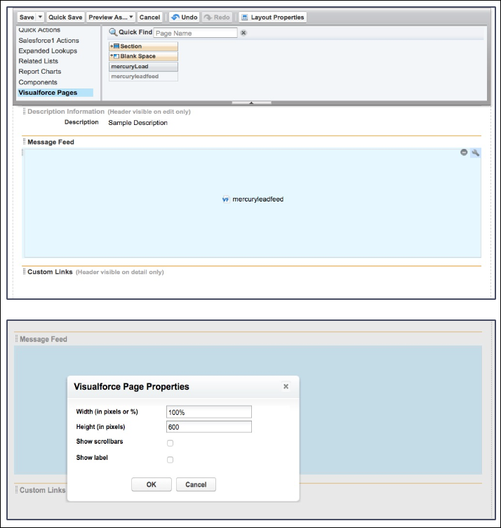 Visualforce page properties_EN.png