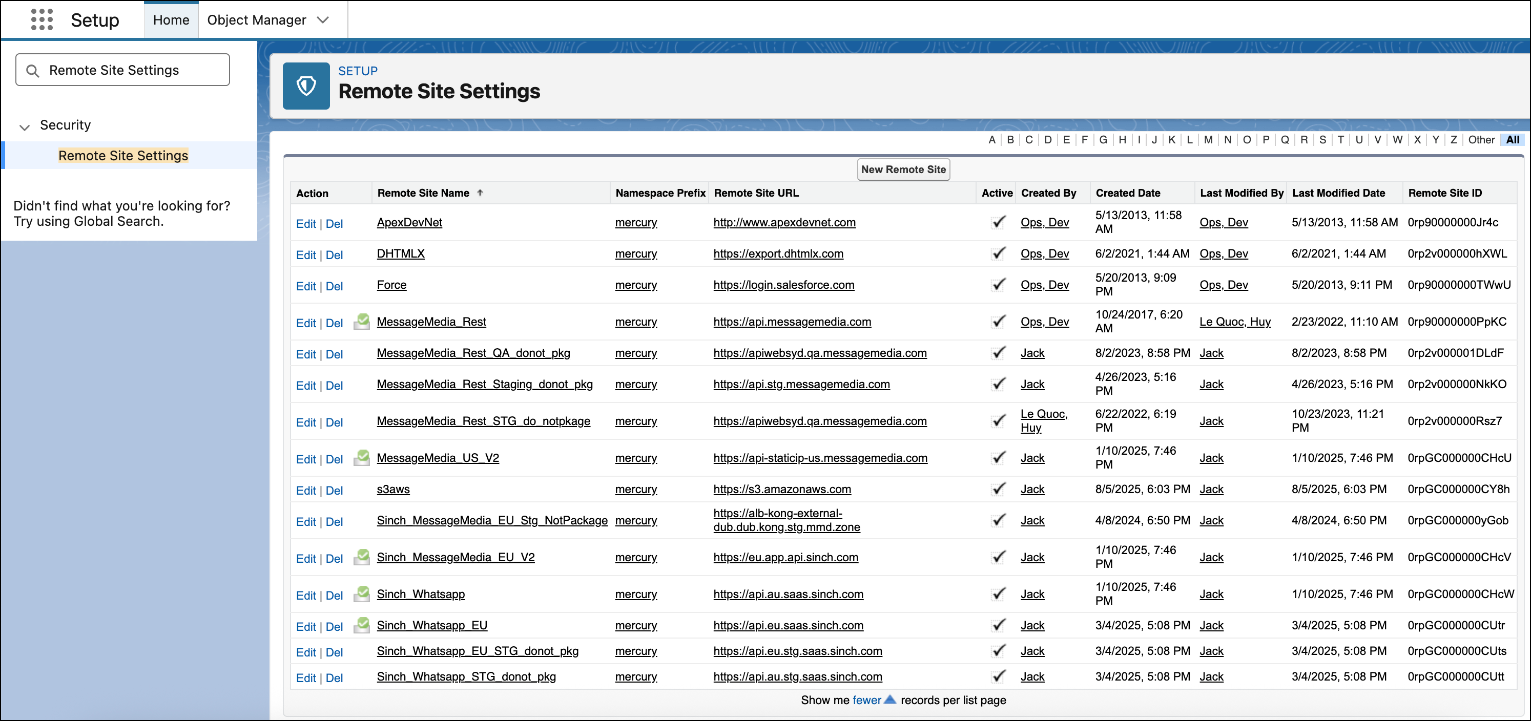 Remote Site Settings.