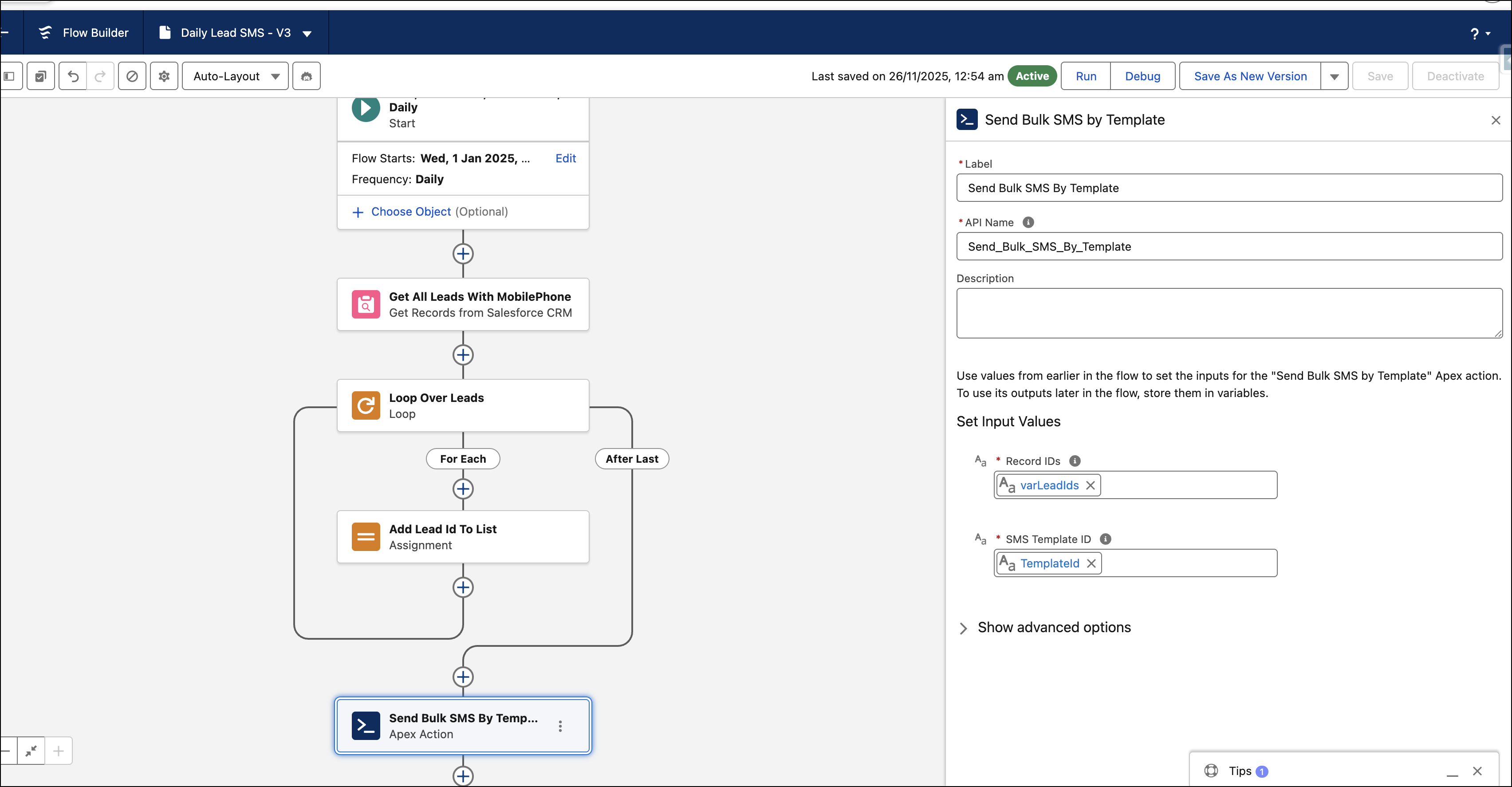 Daily Scheduled Flow for Leads_EN.png