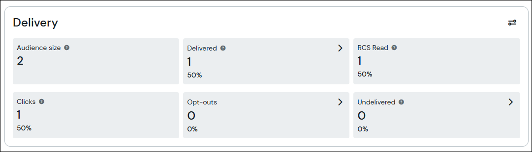 rcs campaign analytics delivery section screenshot