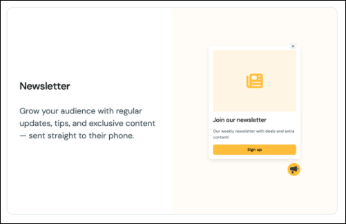 Newsletter ecommerce.