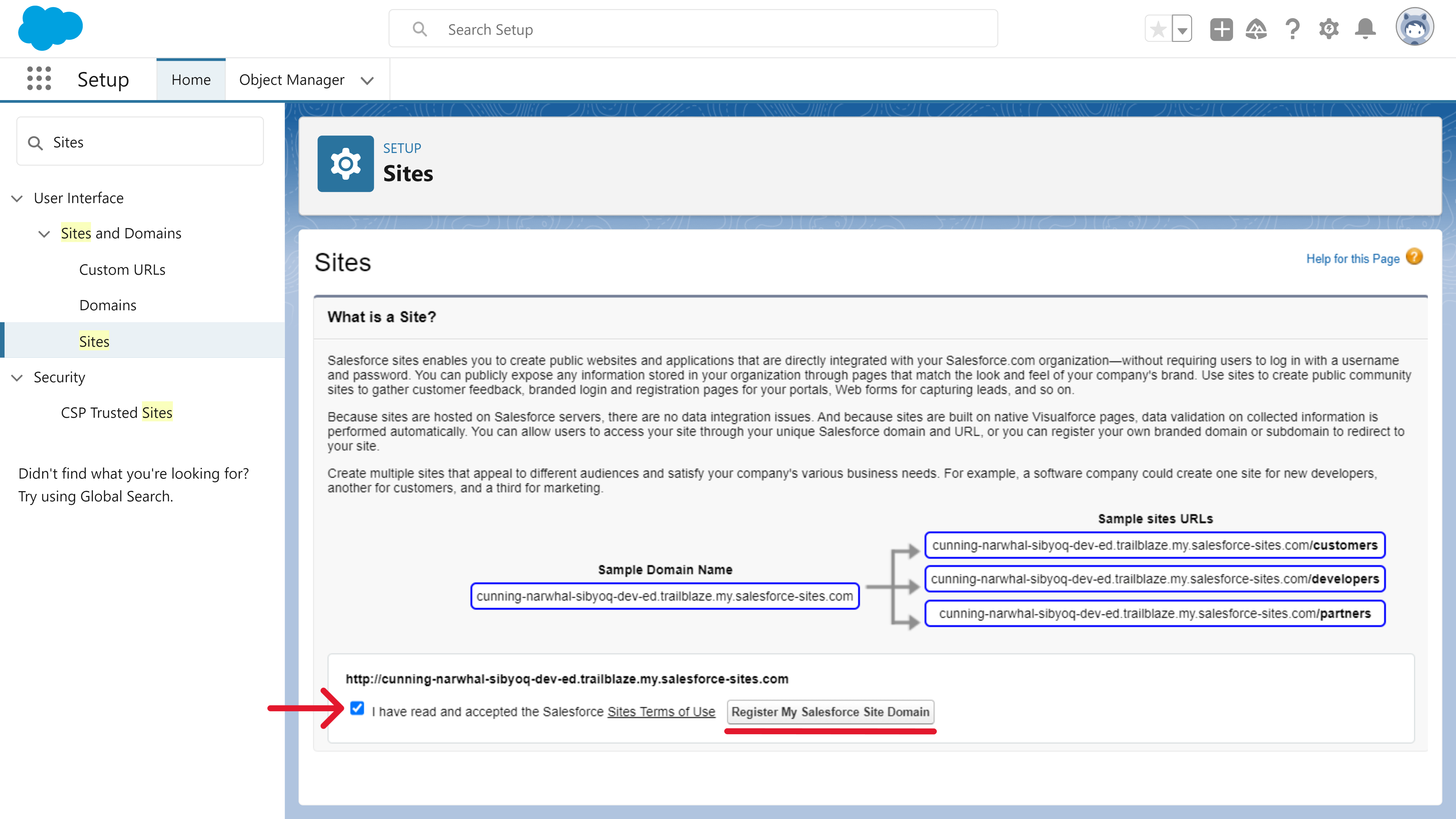 Mercury_-_Setup_Sites_Register_Salesforce_Site_Domain.png